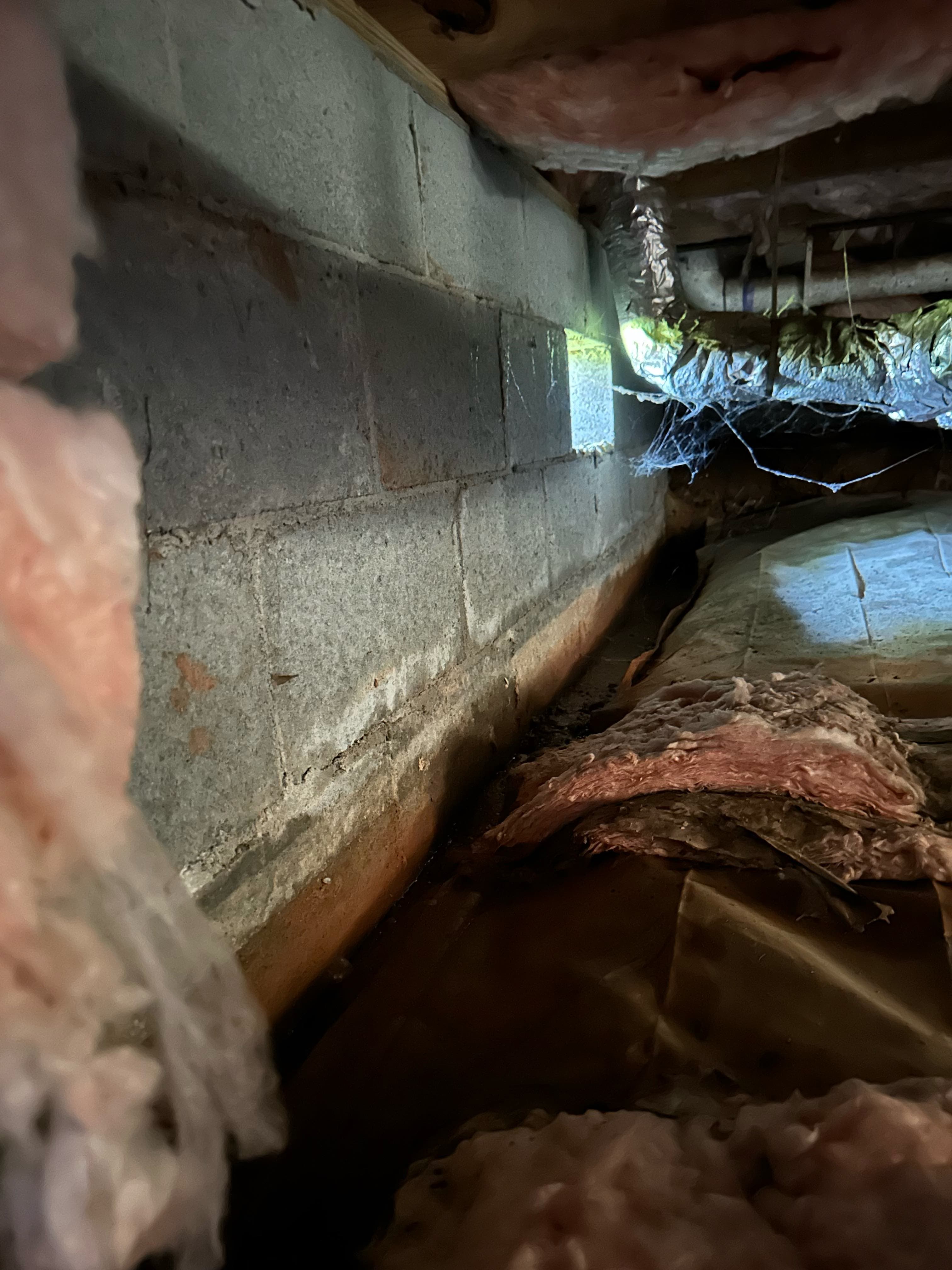 Crawl space inspection and termite damage assessment