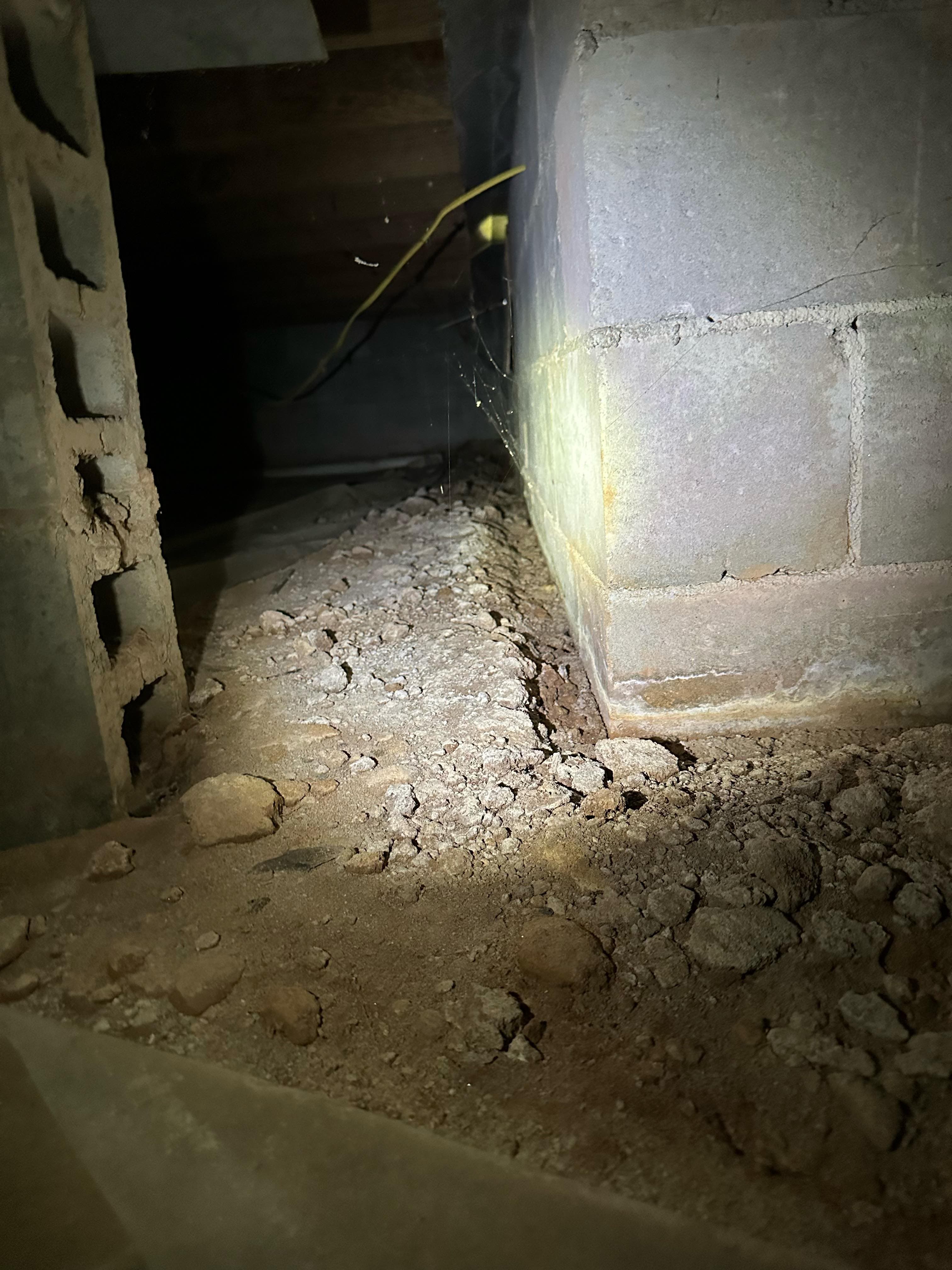 Crawl space termite damage documentation