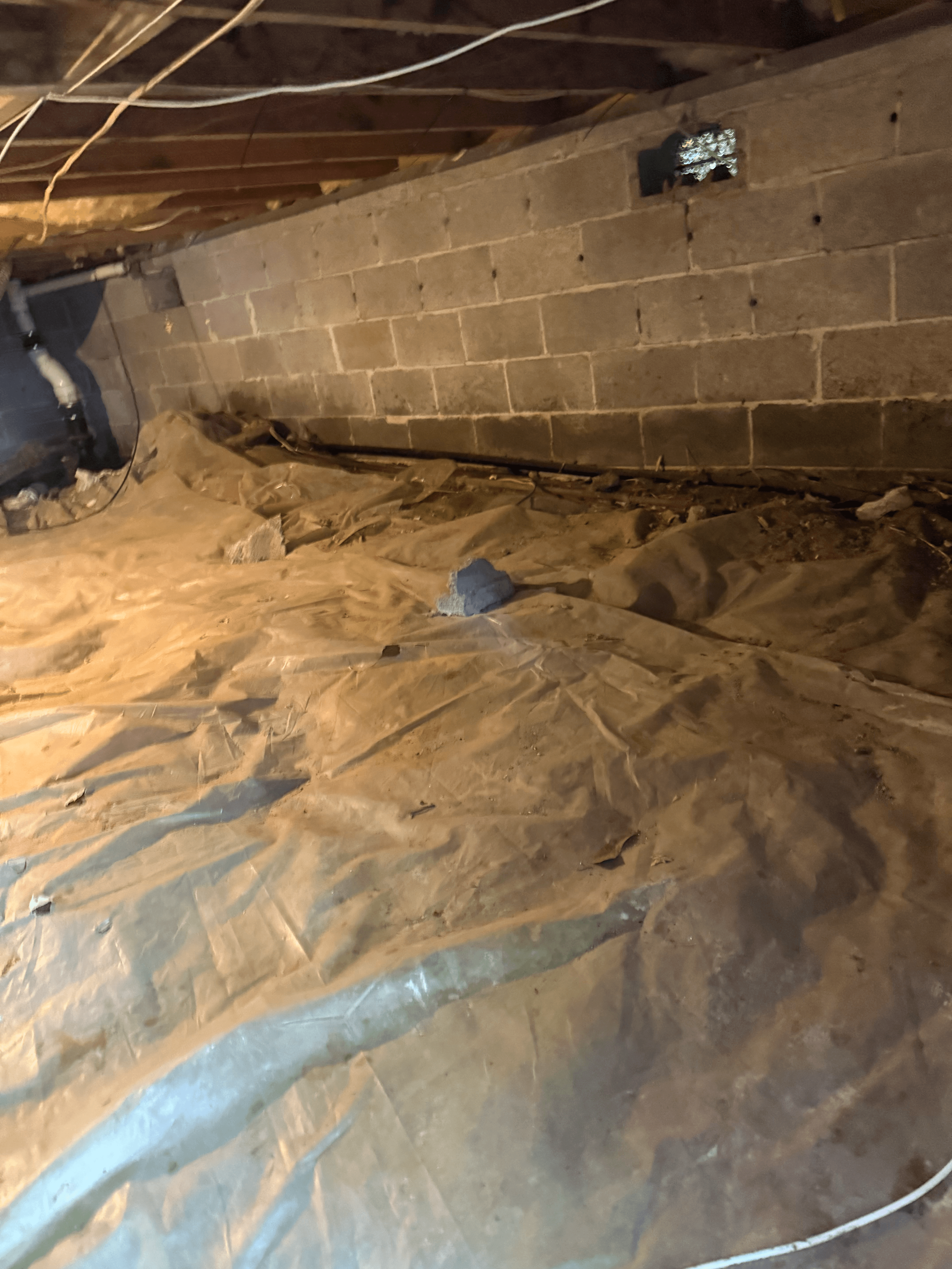 Termite treatment and prevention work