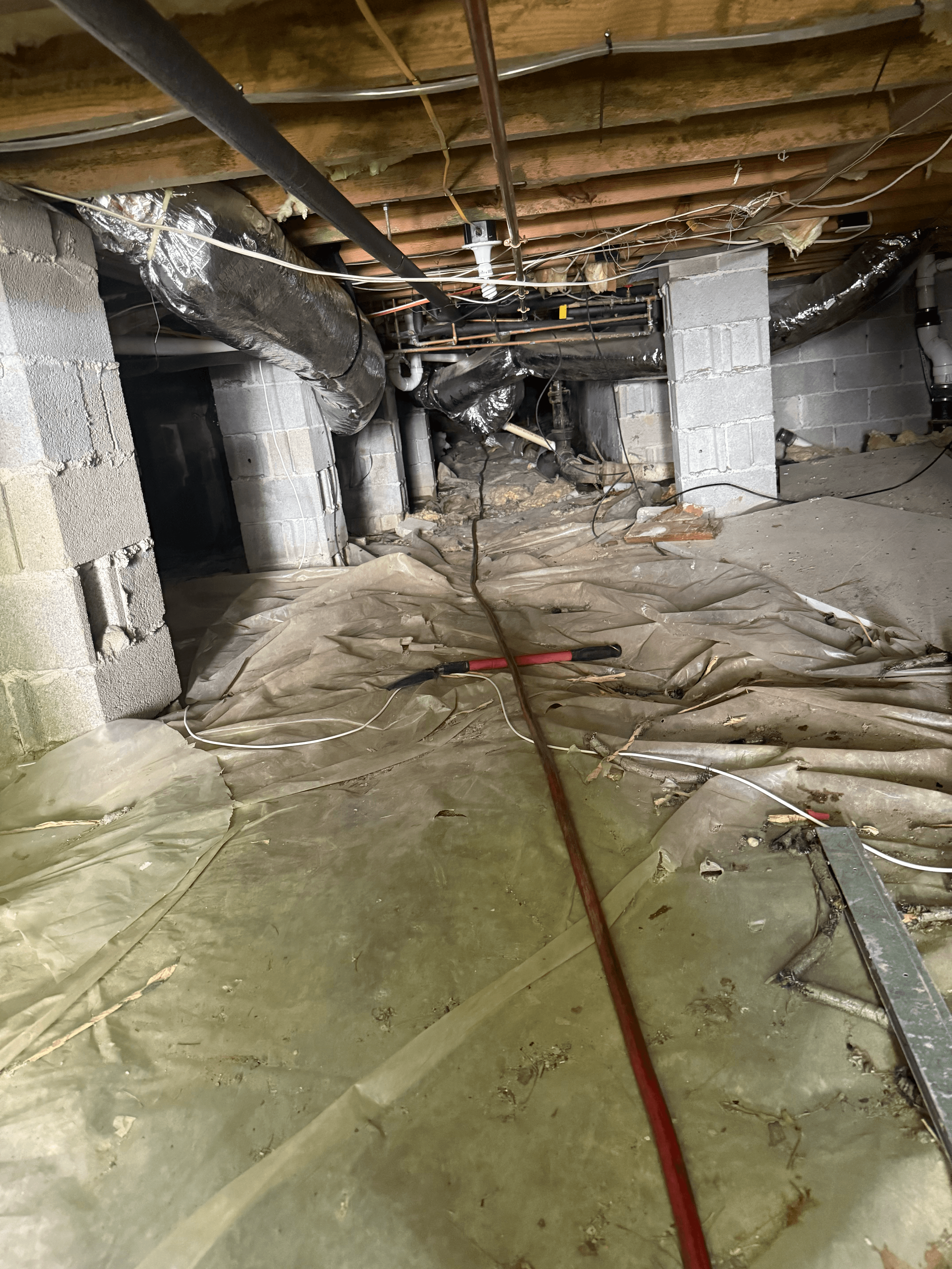 Professional termite control service