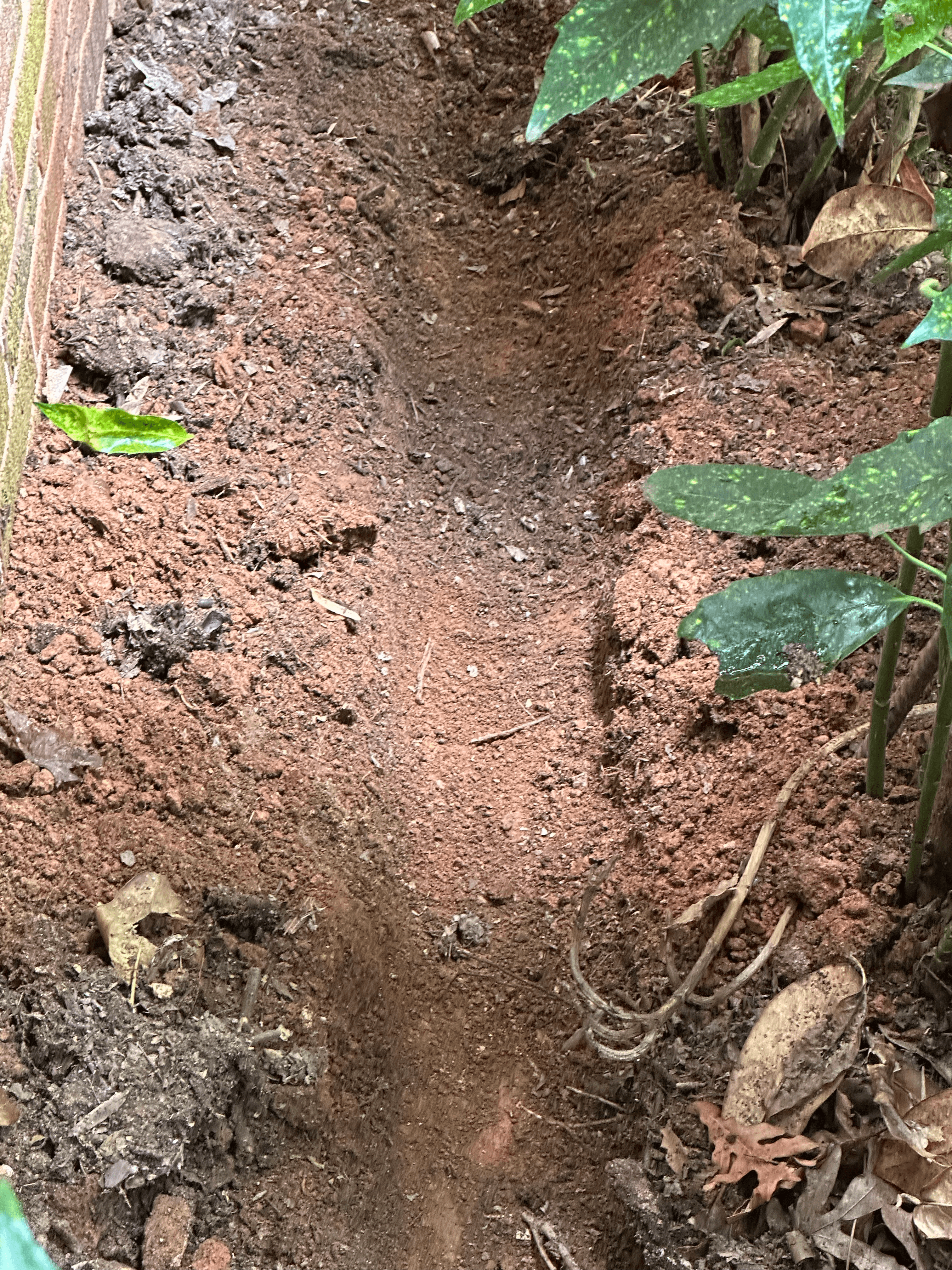 Detailed pest control treatment work