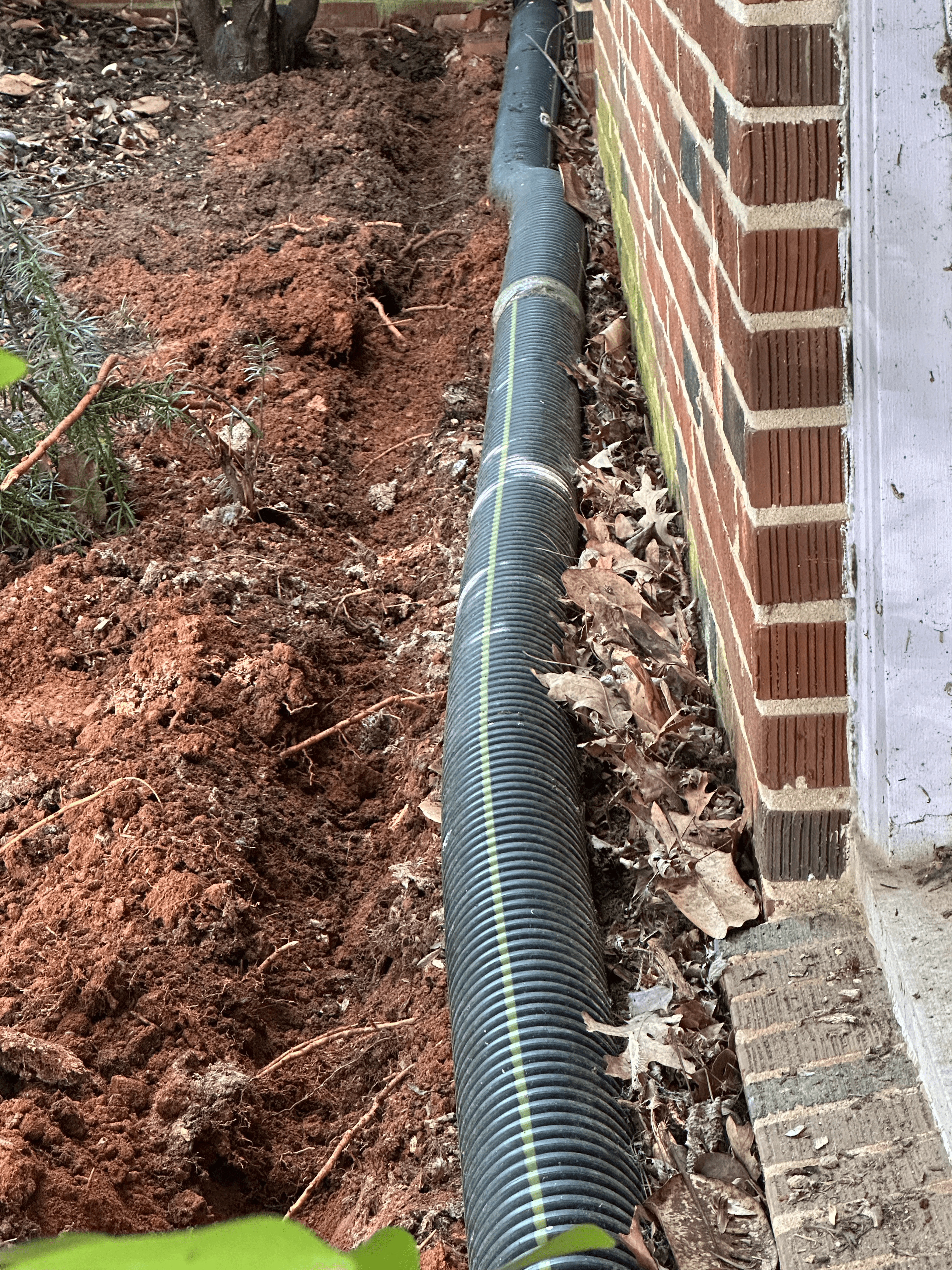 Foundation and crawl space treatment